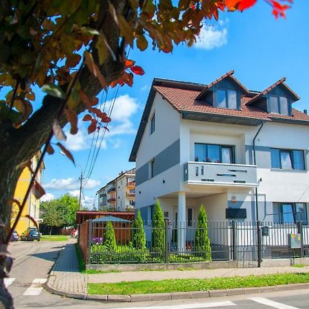 Vila Roza Máramarossziget Kültér fotó