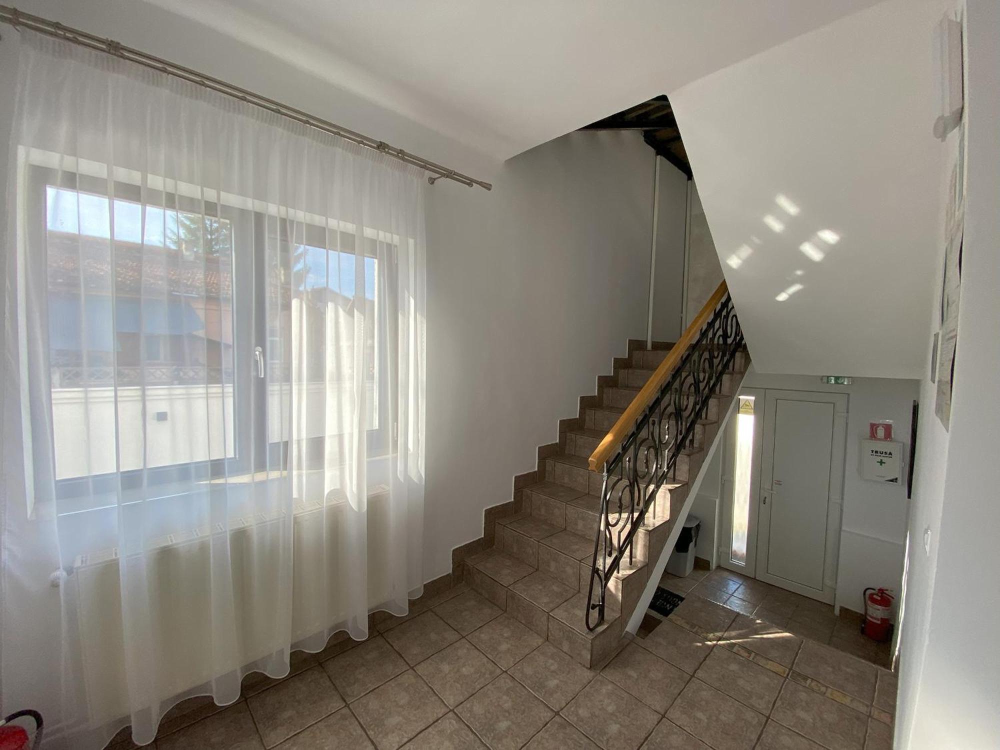 Vila Roza Máramarossziget Kültér fotó