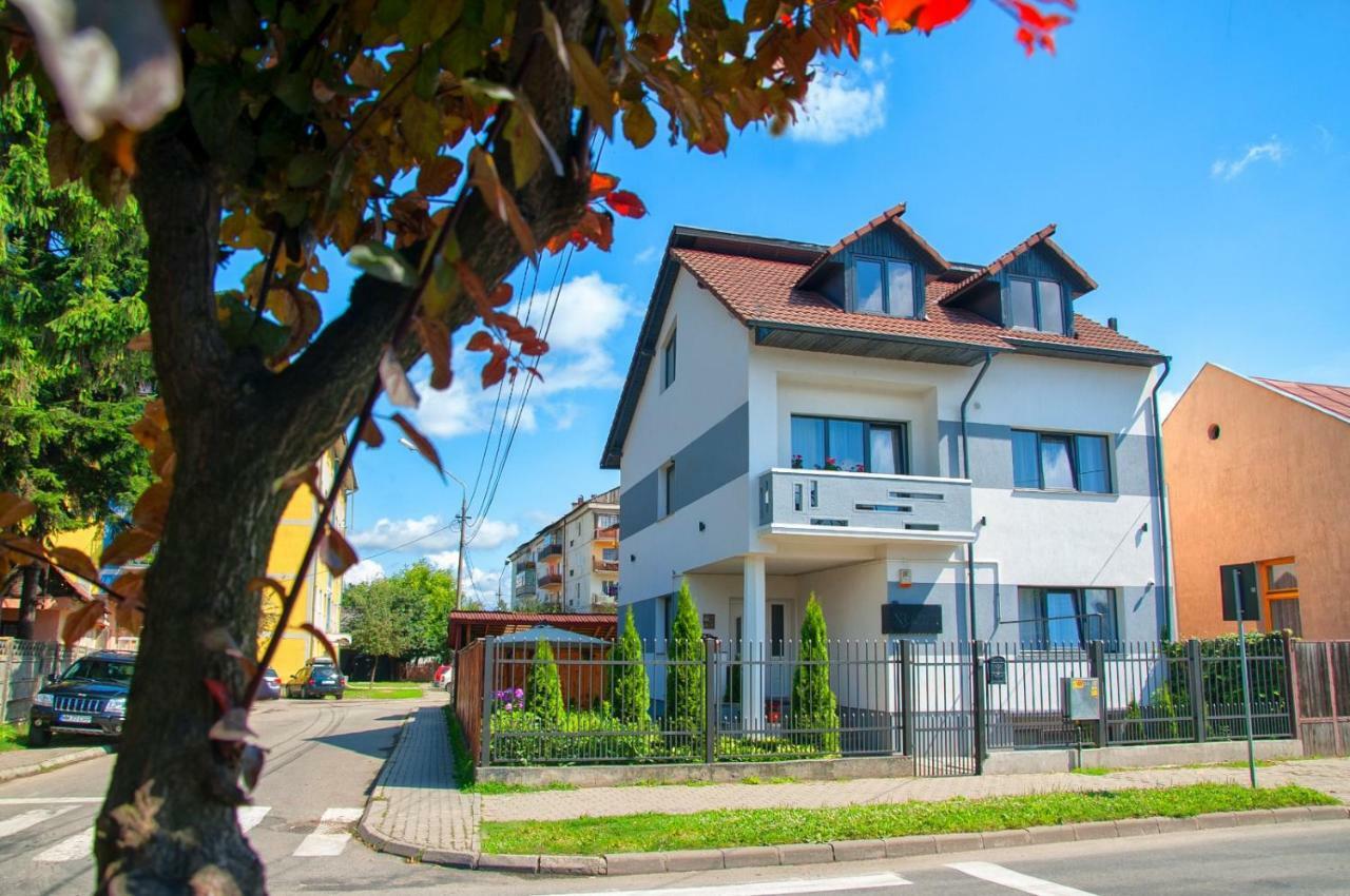 Vila Roza Máramarossziget Kültér fotó